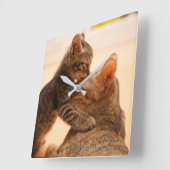 Niedliche Kleintiere | Tabby Kitten Kiss Quadratische Wanduhr (Winkel)