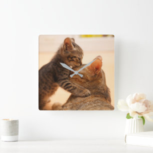 Niedliche Kleintiere Tabby Kitten Kiss Quadratische Wanduhr