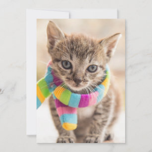 Niedliche Kleintiere   Tabby Kitten Rainbow Scarf Dankeskarte