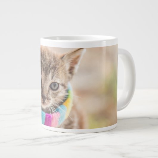 Niedliche Kleintiere | Tabby Kitten Rainbow Scarf Jumbo-Tasse (Vorderseite Rechts)