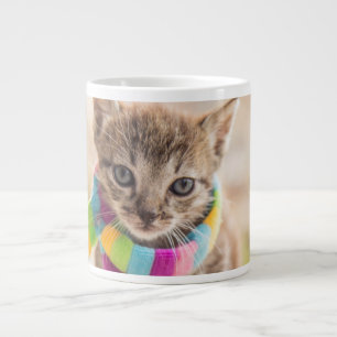 Niedliche Kleintiere   Tabby Kitten Rainbow Scarf Jumbo-Tasse