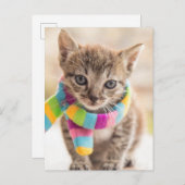 Niedliche Kleintiere | Tabby Kitten Rainbow Scarf Postkarte (Vorne/Hinten)