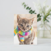 Niedliche Kleintiere | Tabby Kitten Rainbow Scarf Postkarte (Stehend Vorderseite)