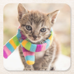 Niedliche Kleintiere   Tabby Kitten Rainbow Scarf Rechteckiger Pappuntersetzer