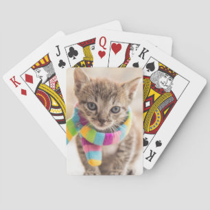 Niedliche Kleintiere   Tabby Kitten Rainbow Scarf Spielkarten