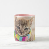 Niedliche Kleintiere | Tabby Kitten Rainbow Scarf Tasse (Zentrum)