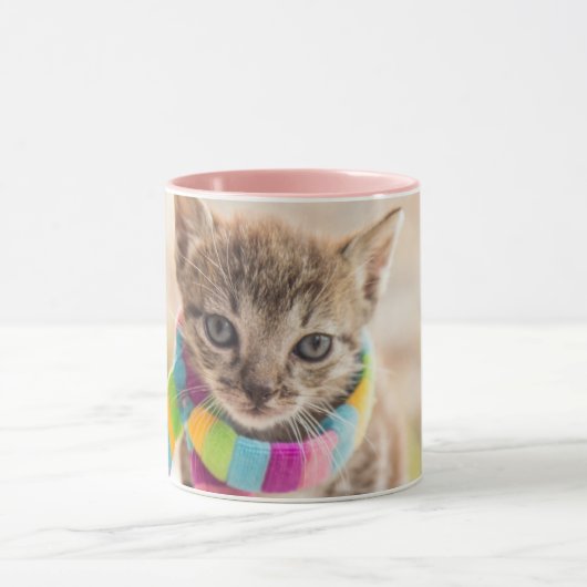 Niedliche Kleintiere | Tabby Kitten Rainbow Scarf Tasse (Zentrum)