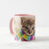 Niedliche Kleintiere | Tabby Kitten Rainbow Scarf Tasse (Vorderseite Links)