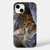 Niedliche Kleintiere | Tabby Kitten Schlafen Case-Mate iPhone Hülle (Rückseite)
