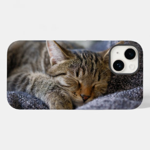 Niedliche Kleintiere   Tabby Kitten Schlafen Case-Mate iPhone 14 Hülle