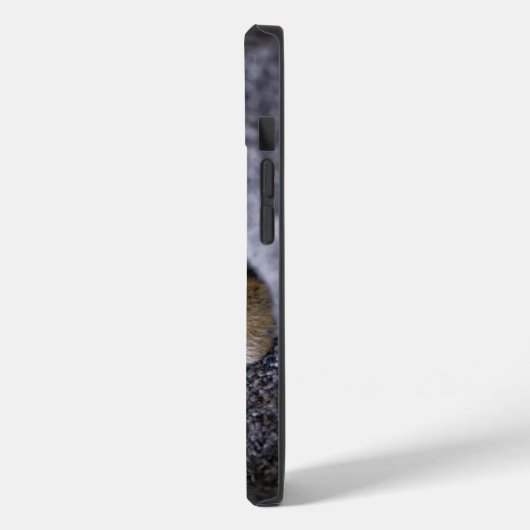 Niedliche Kleintiere | Tabby Kitten Schlafen Case-Mate iPhone Hülle (Rückseite / Links)