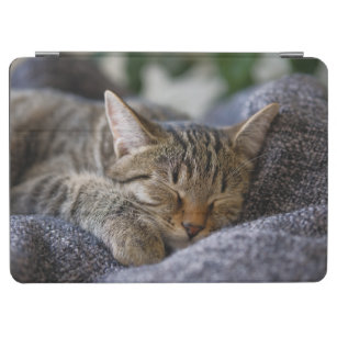Niedliche Kleintiere   Tabby Kitten Schlafen iPad Air Hülle