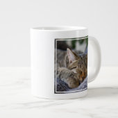 Niedliche Kleintiere | Tabby Kitten Schlafen Jumbo-Tasse (Vorderseite Rechts)