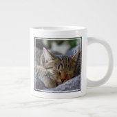 Niedliche Kleintiere | Tabby Kitten Schlafen Jumbo-Tasse (Rechts)