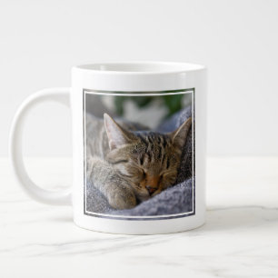 Niedliche Kleintiere   Tabby Kitten Schlafen Jumbo-Tasse