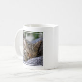 Niedliche Kleintiere | Tabby Kitten Schlafen Kaffeetasse (Vorderseite Links)