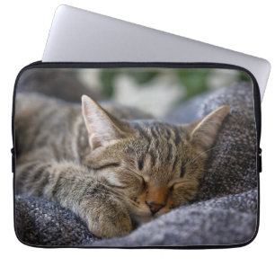 Niedliche Kleintiere Tabby Kitten Schlafen Laptopschutzhülle