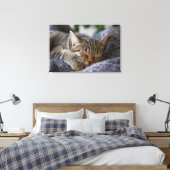Niedliche Kleintiere | Tabby Kitten Schlafen Leinwanddruck (Insitu (Schlafzimmer))