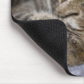 Niedliche Kleintiere | Tabby Kitten Schlafen Mousepad (Ecke)