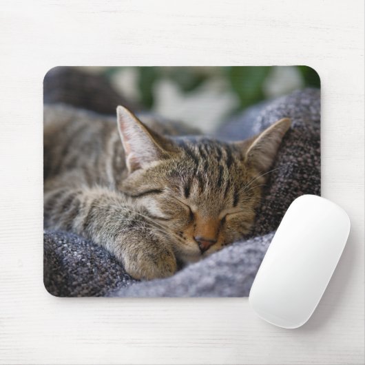 Niedliche Kleintiere | Tabby Kitten Schlafen Mousepad (Mit Mouse)