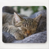 Niedliche Kleintiere | Tabby Kitten Schlafen Mousepad (Vorne)