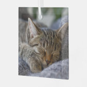 Niedliche Kleintiere | Tabby Kitten Schlafen Ornament Aus Glas (Vorderseite links)