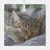 Niedliche Kleintiere | Tabby Kitten Schlafen Ornament Aus Glas (Vorderseite)