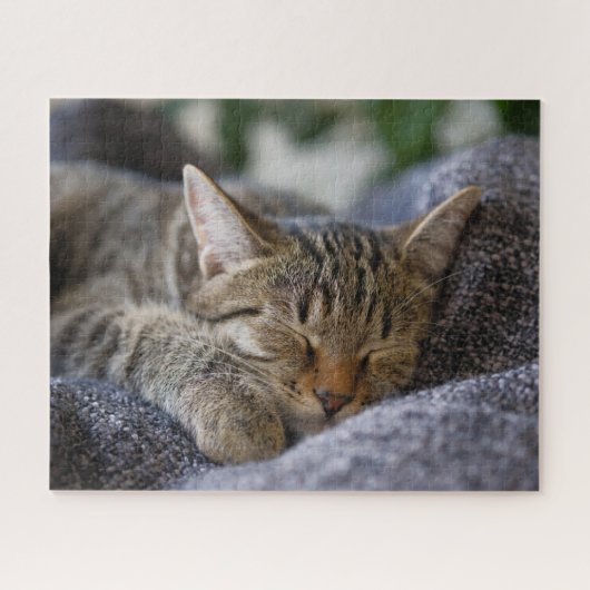 Niedliche Kleintiere | Tabby Kitten Schlafen Puzzle (Horizontal)