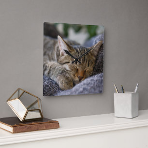 Niedliche Kleintiere   Tabby Kitten Schlafen Quadratische Wanduhr