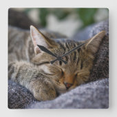 Niedliche Kleintiere | Tabby Kitten Schlafen Quadratische Wanduhr (Vorderseite)