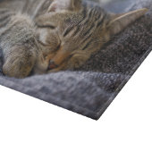 Niedliche Kleintiere | Tabby Kitten Schlafen Schneidebrett (Ecke)