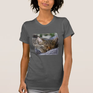 Niedliche Kleintiere Tabby Kitten Schlafen T-Shirt