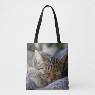 Niedliche Kleintiere Tabby Kitten Schlafen Tasche
