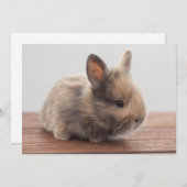 Niedliche Kleintiere | Tiny Baby Bunny Dankeskarte (Vorne/Hinten)