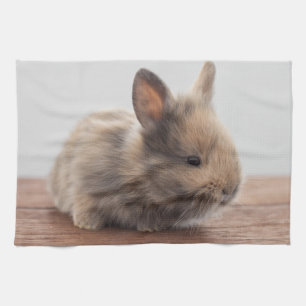 Niedliche Kleintiere   Tiny Baby Bunny Geschirrtuch