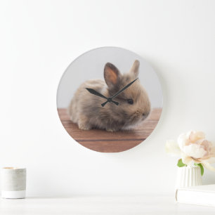 Niedliche Kleintiere   Tiny Baby Bunny Große Wanduhr