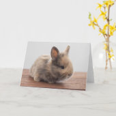 Niedliche Kleintiere | Tiny Baby Bunny Karte (Gelbe Blume)
