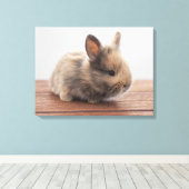Niedliche Kleintiere | Tiny Baby Bunny Leinwanddruck (Insitu (Holzboden))
