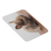Niedliche Kleintiere | Tiny Baby Bunny Magnet (Rechte Seite)