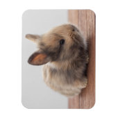 Niedliche Kleintiere | Tiny Baby Bunny Magnet (Vertikal)