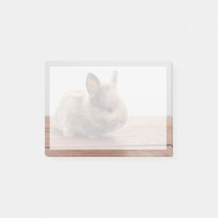Niedliche Kleintiere Tiny Baby Bunny Post-it Klebezettel