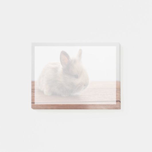 Niedliche Kleintiere | Tiny Baby Bunny Post-it Klebezettel (Vorderseite)