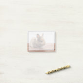 Niedliche Kleintiere | Tiny Baby Bunny Post-it Klebezettel (Auf Schreibtisch)