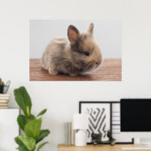 Niedliche Kleintiere | Tiny Baby Bunny Poster (Heimbüro)