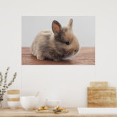 Niedliche Kleintiere | Tiny Baby Bunny Poster (Küche)