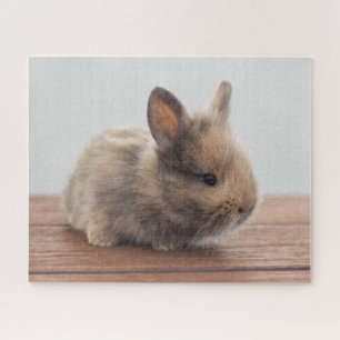 Niedliche Kleintiere Tiny Baby Bunny Puzzle
