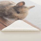 Niedliche Kleintiere | Tiny Baby Bunny Sherpadecke (3/4)