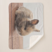 Niedliche Kleintiere | Tiny Baby Bunny Sherpadecke (Vorderseite)