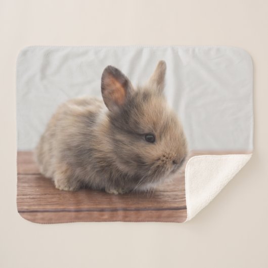 Niedliche Kleintiere | Tiny Baby Bunny Sherpadecke (Vorderseite (Horizontal))