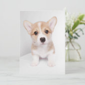 Niedliche Kleintiere | Tiny Corgi Dankeskarte (Stehend Vorderseite)
